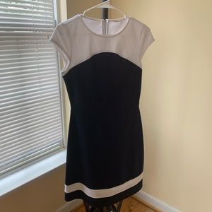 Navy and White Dress
